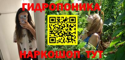 индика Рязань